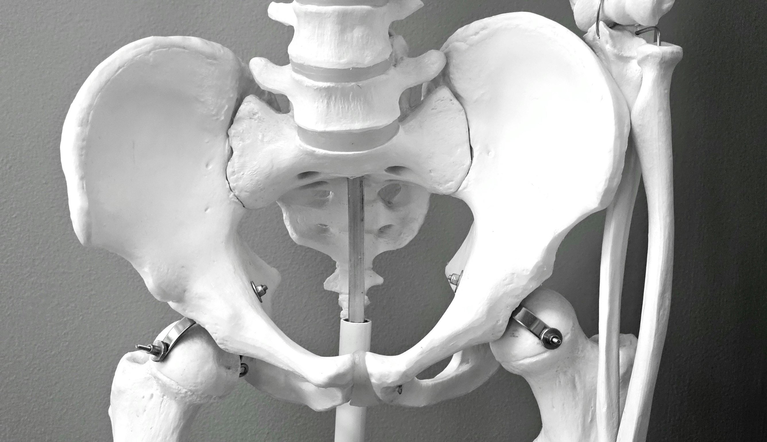 General Orthopaedic Care